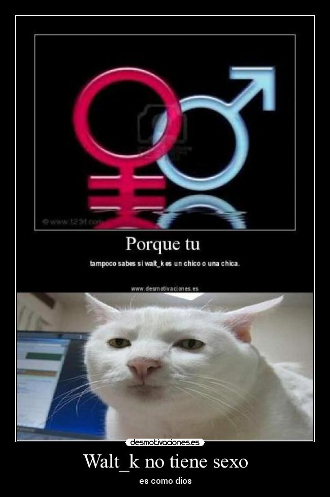 Walt_k no tiene sexo - es como dios