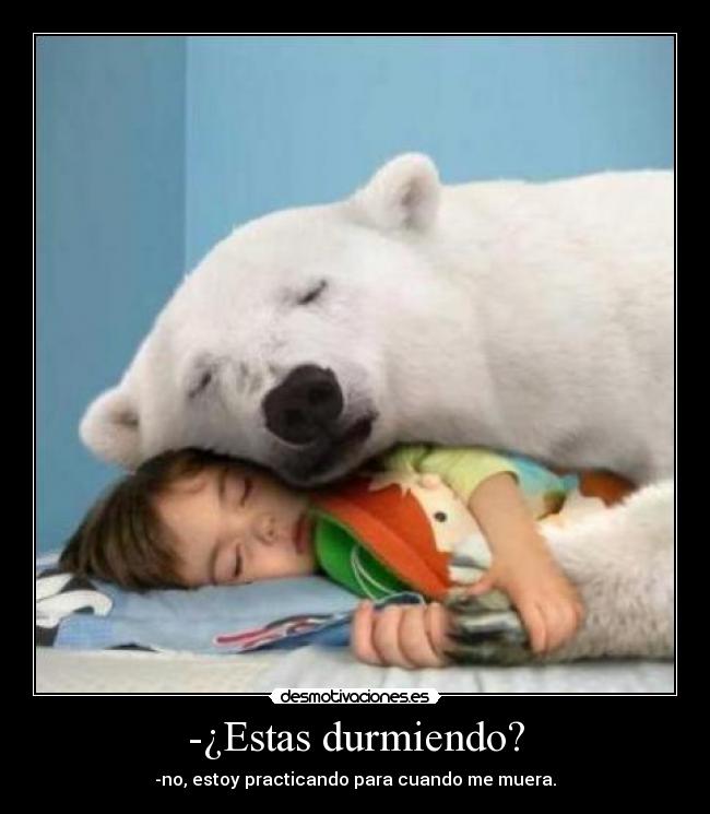 carteles duerme desmotivaciones