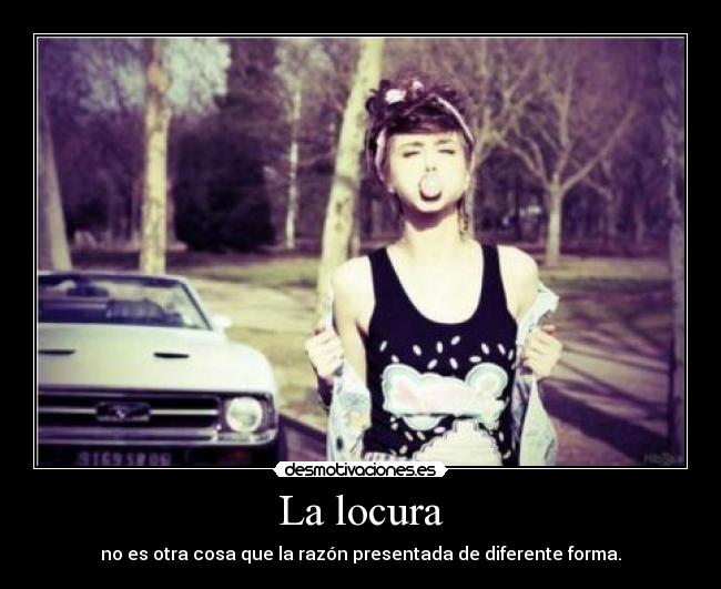 carteles locura locura desmotivaciones