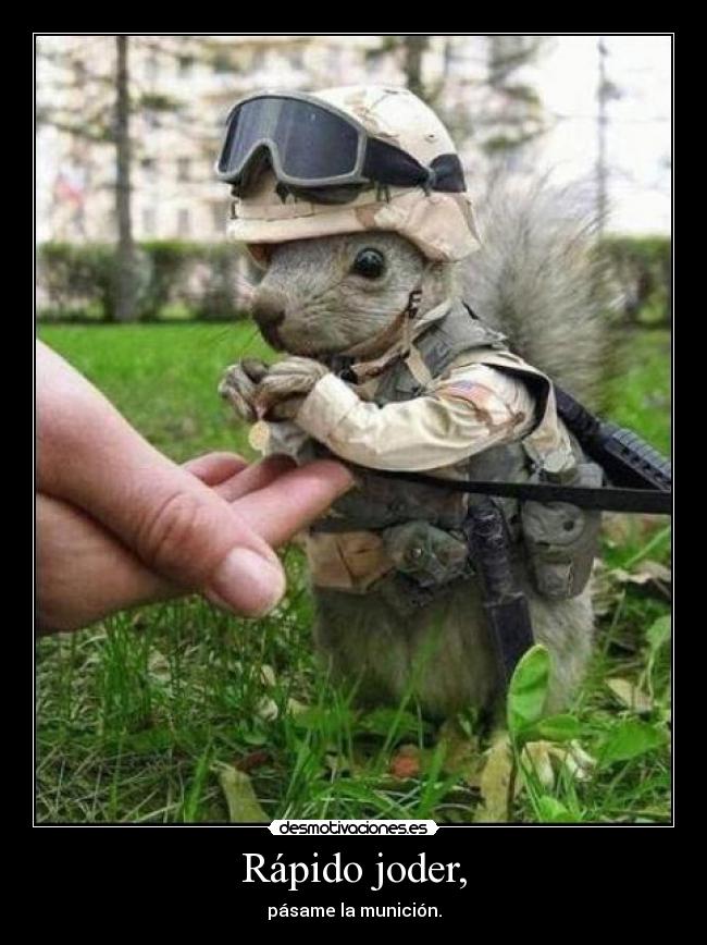 Rápido joder, -