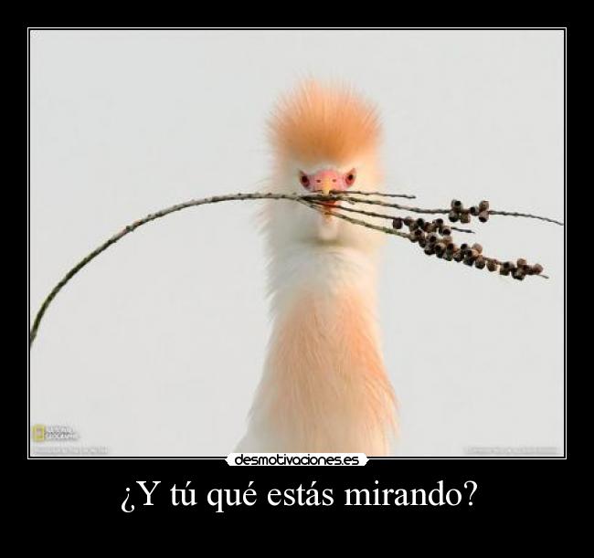 carteles nazax desmotivaciones