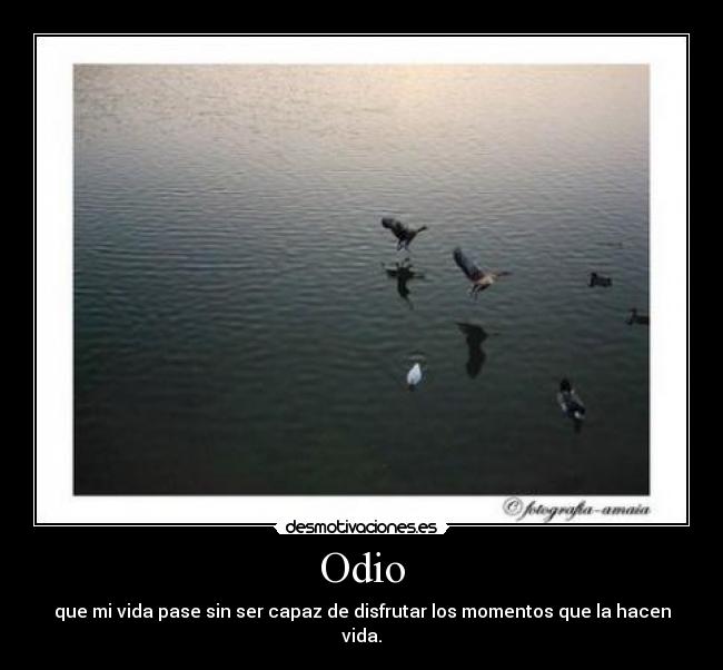 Odio - que mi vida pase sin ser capaz de disfrutar los momentos que la hacen vida.