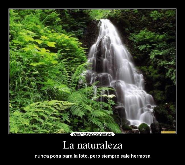 La naturaleza - 
