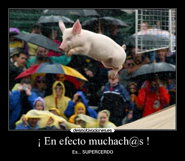 ¡ En efecto muchach@s ! - Es... SUPERCERDO