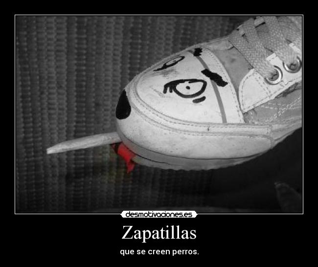 Zapatillas - que se creen perros.