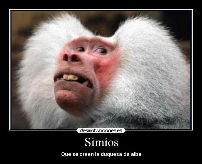 Simios - 