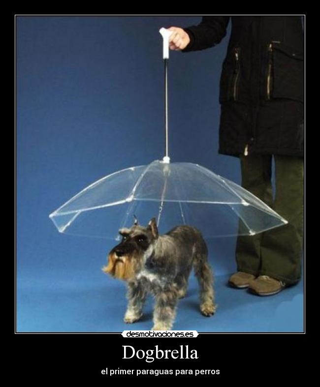 Dogbrella -