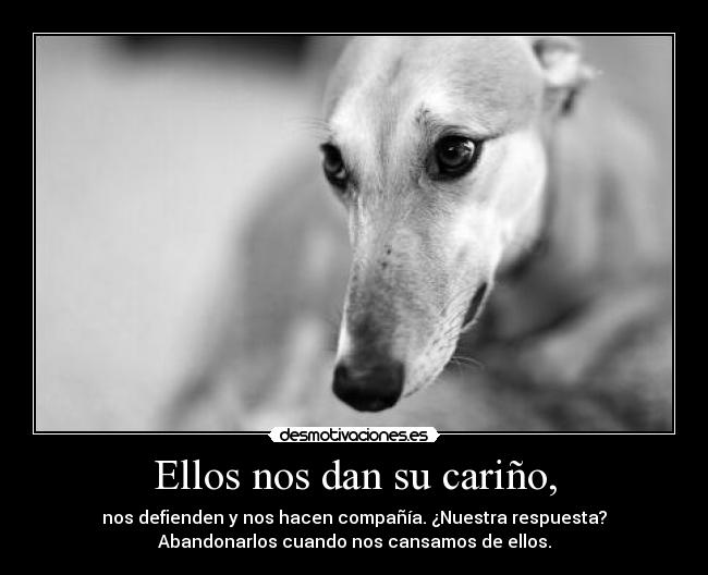 Ellos nos dan su cariño, -