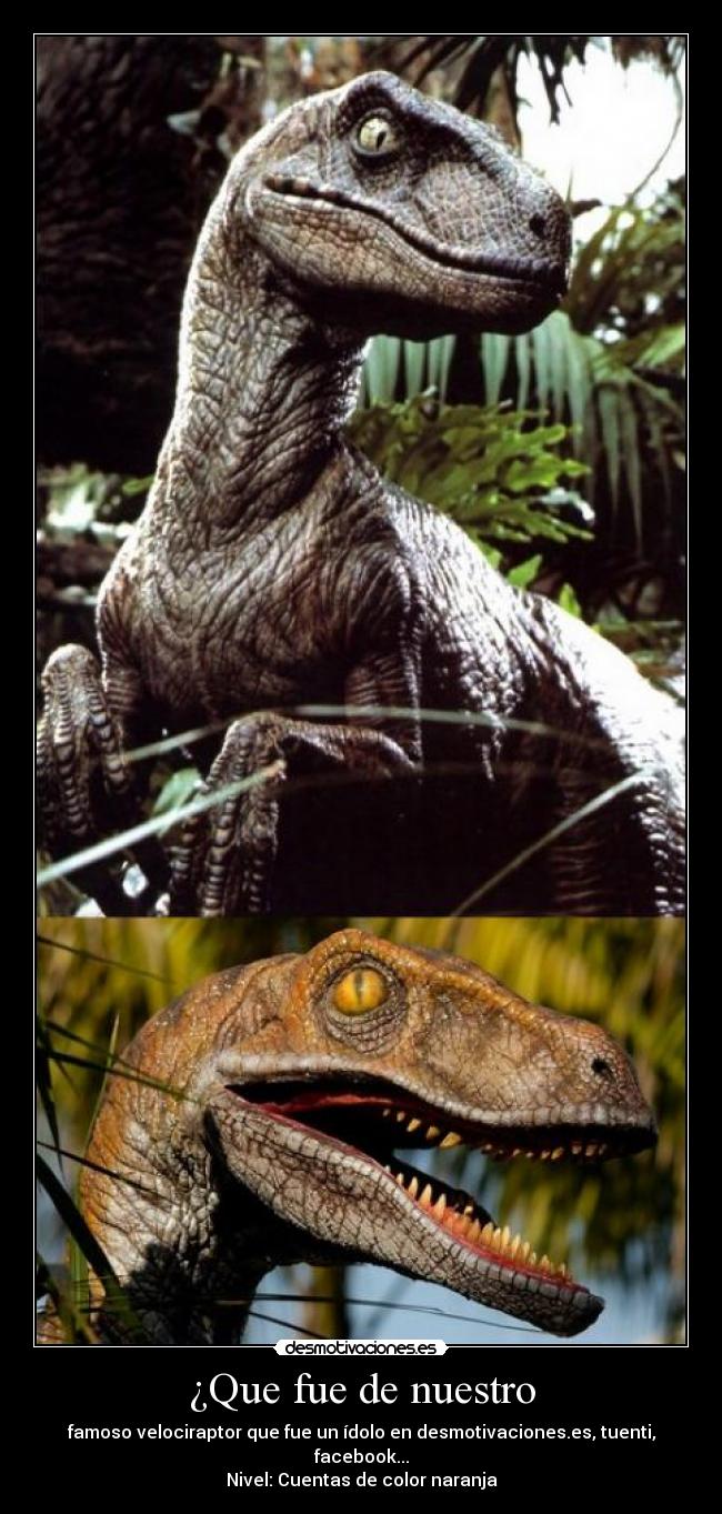 ¿Que fue de nuestro -