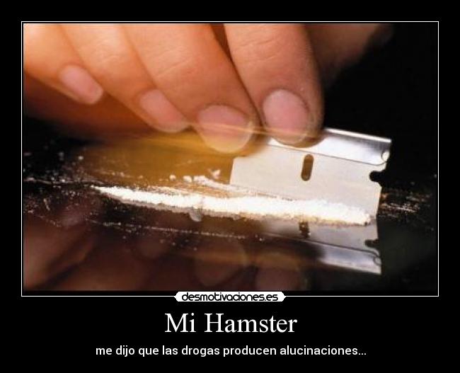 carteles drogas desmotivaciones