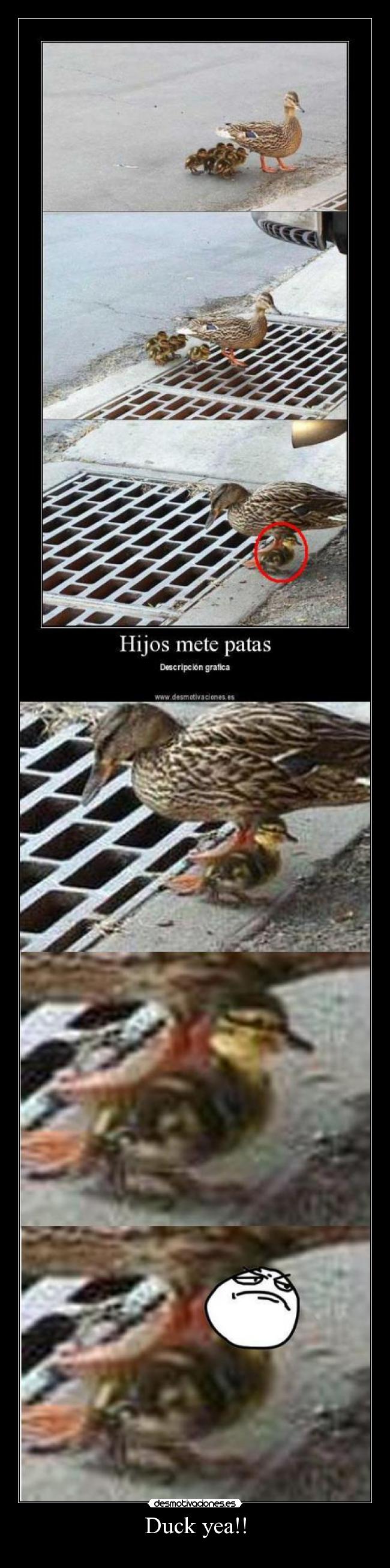 Duck yea!! - 