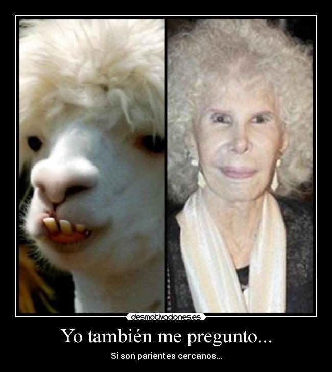 Yo también me pregunto... -