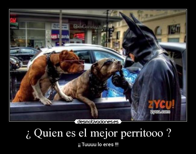 ¿ Quien es el mejor perritooo ? -