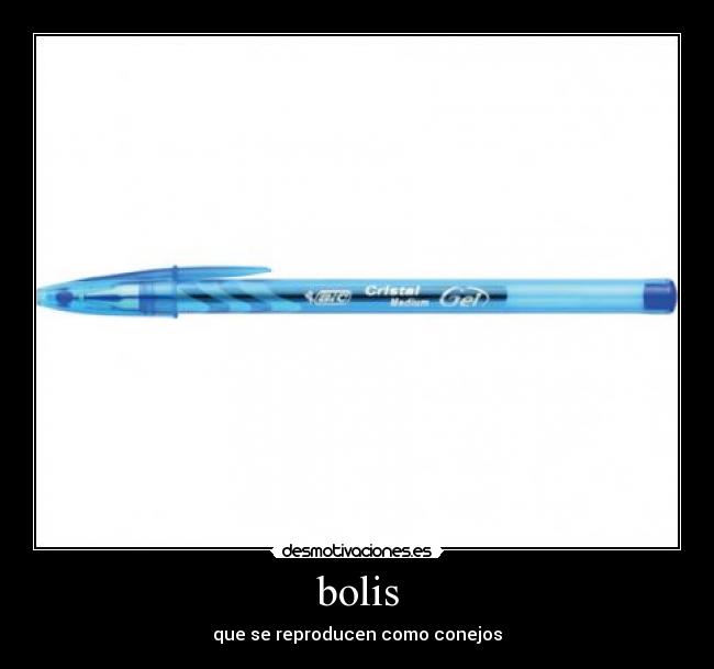 bolis - 
