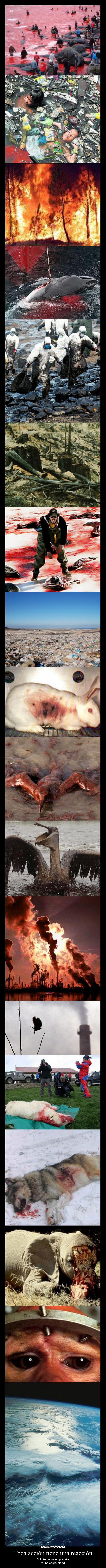 carteles autor este cartel casi cae una crisis emocional mientras buscaba imagenes desmotivaciones