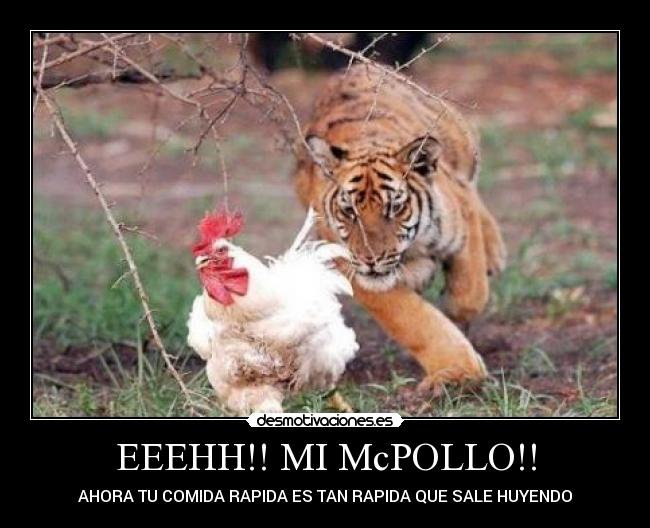 EEEHH!! MI McPOLLO!! - AHORA TU COMIDA RAPIDA ES TAN RAPIDA QUE SALE HUYENDO
