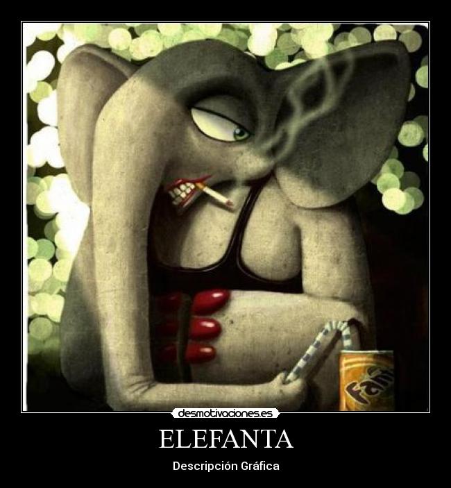 ELEFANTA - Descripción Gráfica