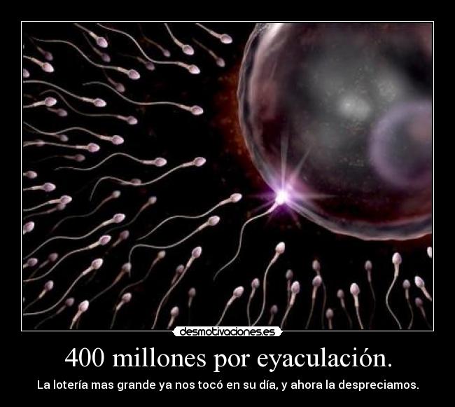 carteles xddd desmotivaciones