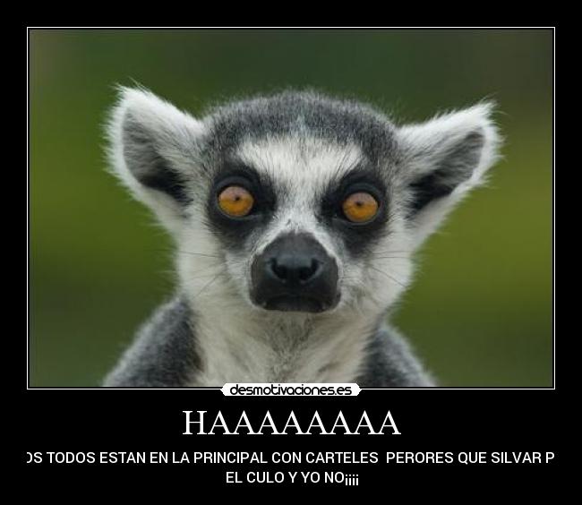 HAAAAAAAA - DIOS TODOS ESTAN EN LA PRINCIPAL CON CARTELES  PERORES QUE SILVAR POR
EL CULO Y YO NO¡¡¡¡