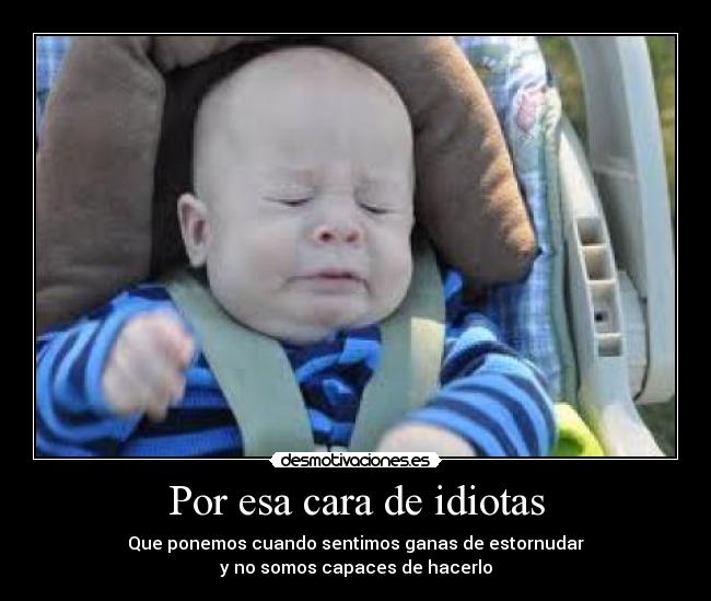 Por esa cara de idiotas - Que ponemos cuando sentimos ganas de estornudar
y no somos capaces de hacerlo