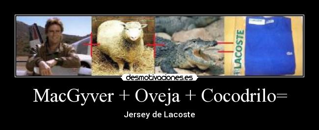 MacGyver + Oveja + Cocodrilo= - Jersey de Lacoste