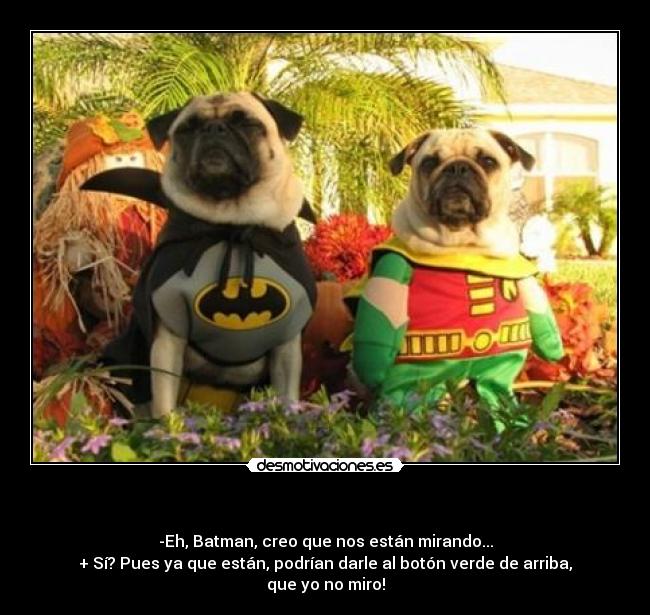 - -Eh, Batman, creo que nos están mirando...
+ Sí? Pues ya que están, podrían darle al botón verde de arriba, que yo no miro!