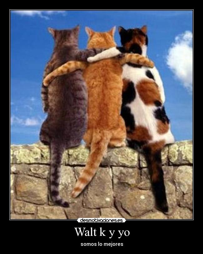 Walt k y yo - somos lo mejores