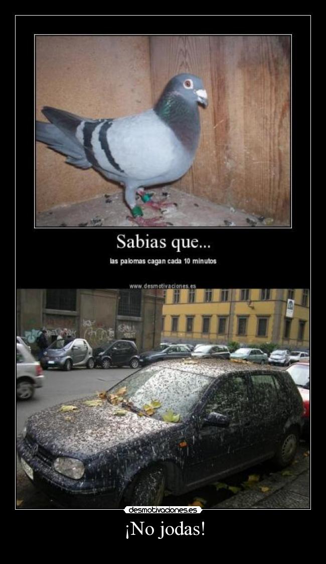 ¡No jodas! - 