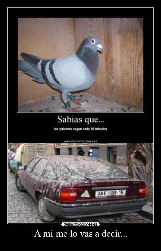 A mi me lo vas a decir... -