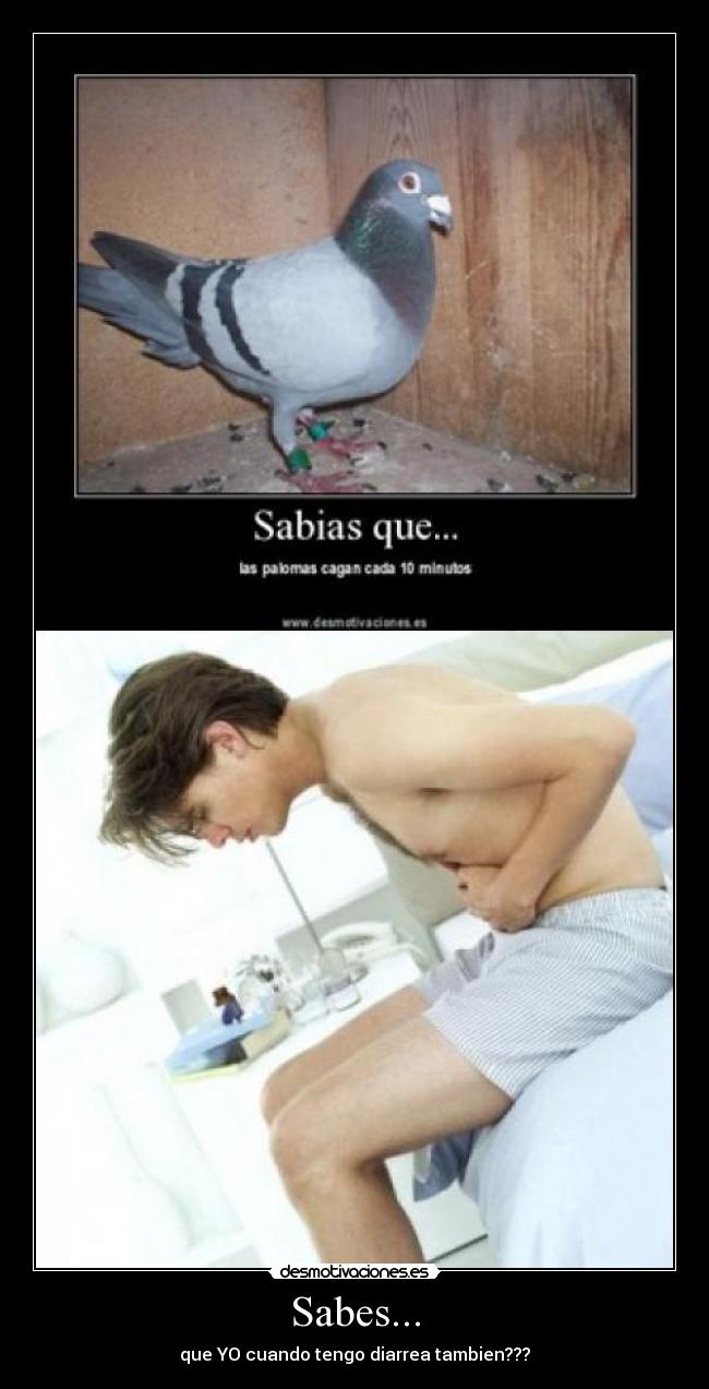 Sabes... - 