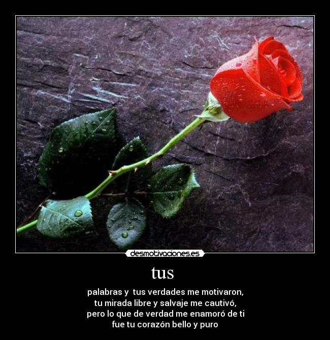 carteles tus desmotivaciones