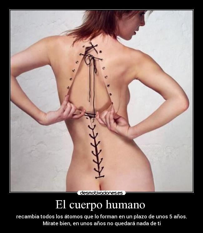 El cuerpo humano  -  recambia todos los átomos que lo forman en un plazo de unos 5 años. 
Mírate bien, en unos años no quedará nada de ti