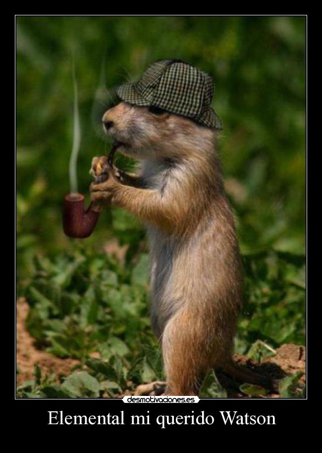 carteles detective watson sherlock holmes londres desmotivaciones