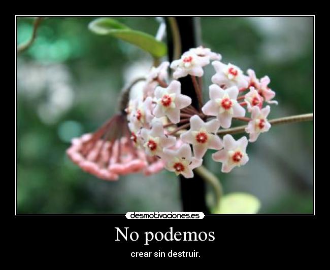 No podemos -