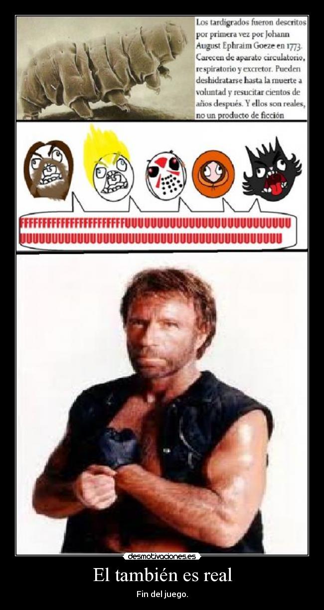 El también es real -