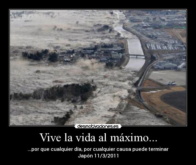 carteles vida japon desmotivaciones