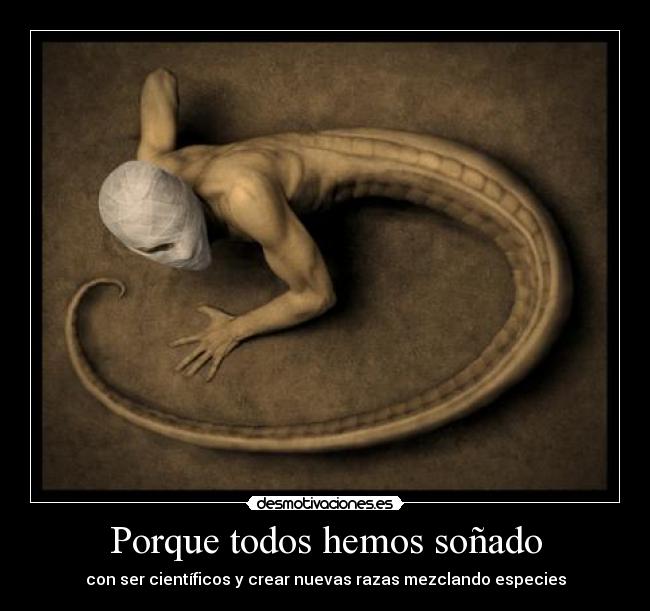 Porque todos hemos soñado - 