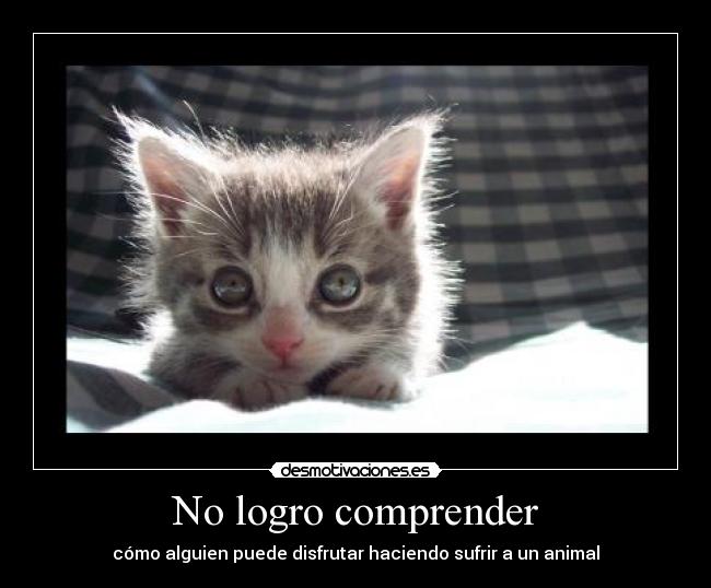 No logro comprender - cómo alguien puede disfrutar haciendo sufrir a un animal
