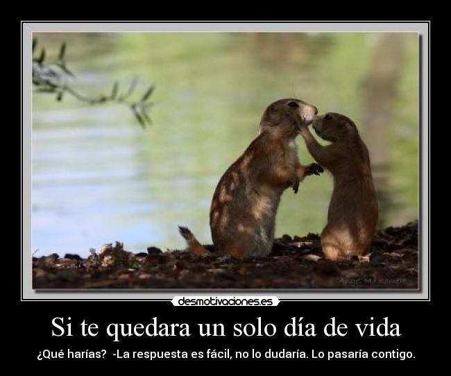 Si te quedara un solo día de vida -