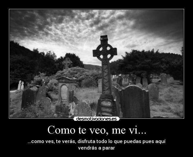 Como te veo, me vi... -