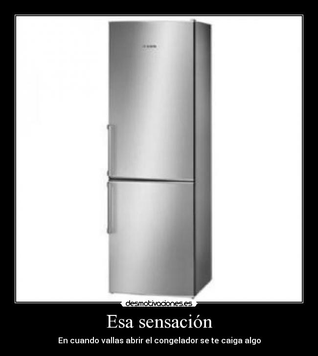 Esa sensación - En cuando vallas abrir el congelador se te caiga algo