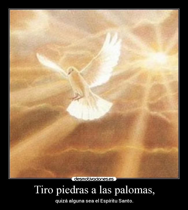 Tiro piedras a las palomas, - quizá alguna sea el Espíritu Santo.