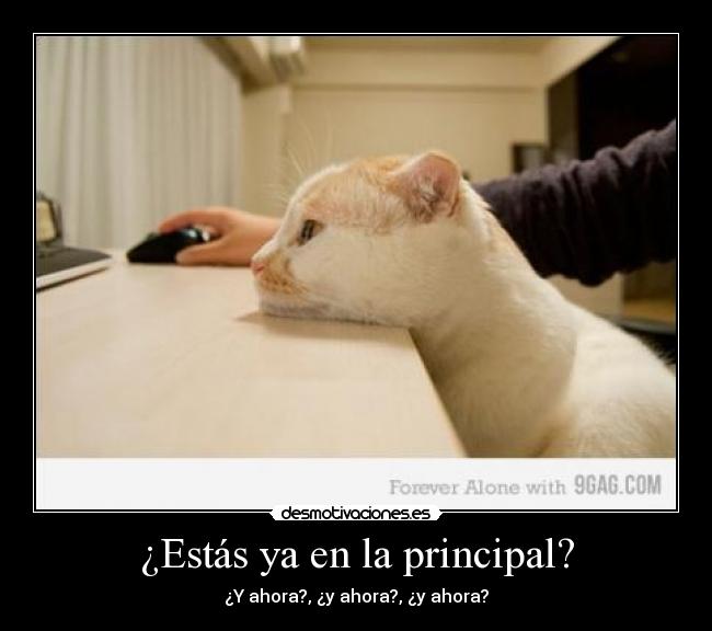 ¿Estás ya en la principal? - ¿Y ahora?, ¿y ahora?, ¿y ahora?
