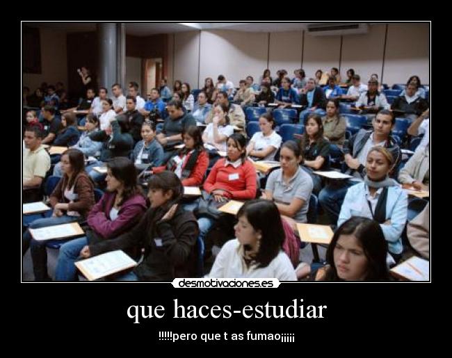 que haces-estudiar - !!!!!pero que t as fumao¡¡¡¡¡