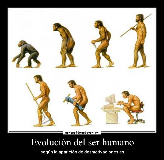 EVOLUCION DEL SER HUMANO evolucion del ser humano: