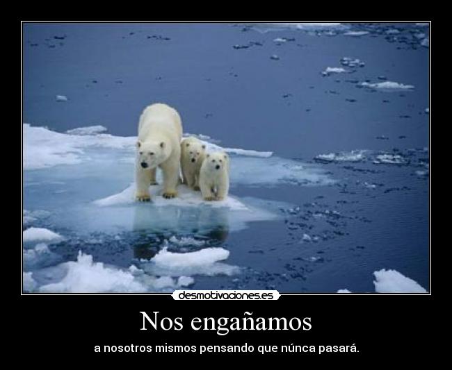 Nos engañamos - 