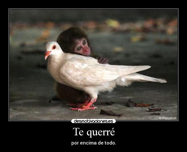 carteles nando desmotivaciones