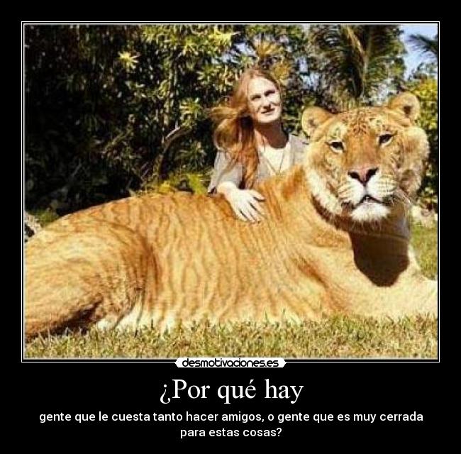 ¿Por qué hay - gente que le cuesta tanto hacer amigos, o gente que es muy cerrada para estas cosas?