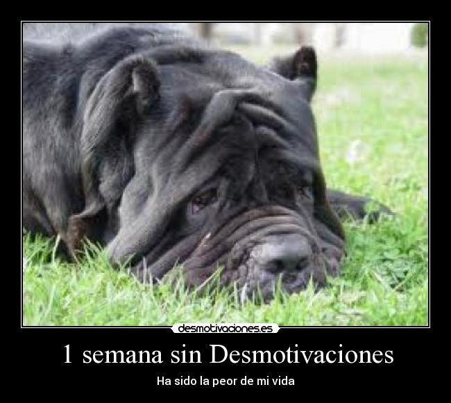 1 semana sin Desmotivaciones - 