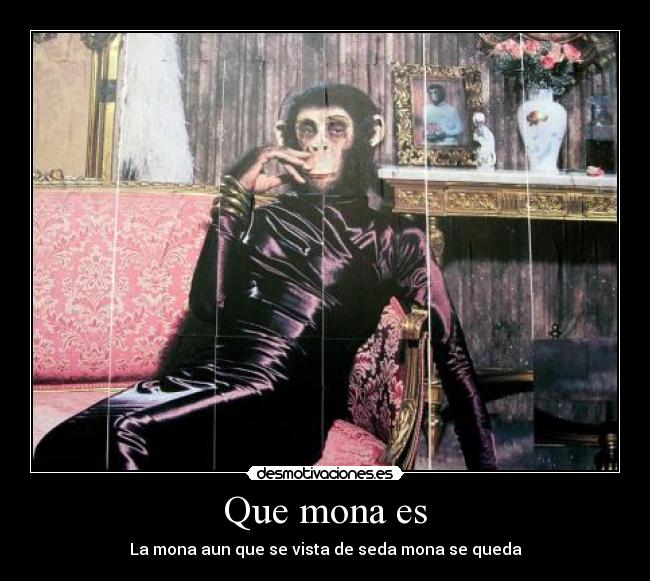 Que mona es Desmotivaciones Que mona es Desmotivaciones